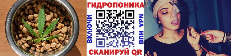 Cannafood марихуана  Гдов 