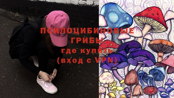 ГАЛЛЮЦИНОГЕННЫЕ ГРИБЫ Алексеевка