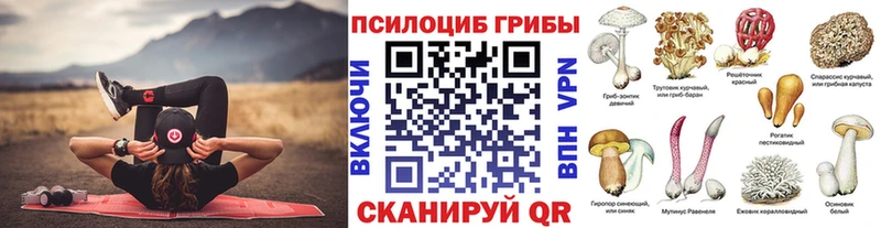 сайты даркнета формула  Гдов  Псилоцибиновые грибы MAGIC MUSHROOMS 